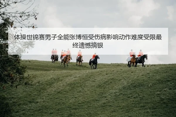 体操世锦赛男子全能张博恒受伤病影响动作难度受限最终遗憾摘银